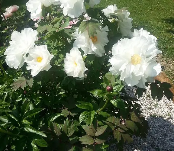 منتزه العطل Ecochiocciola