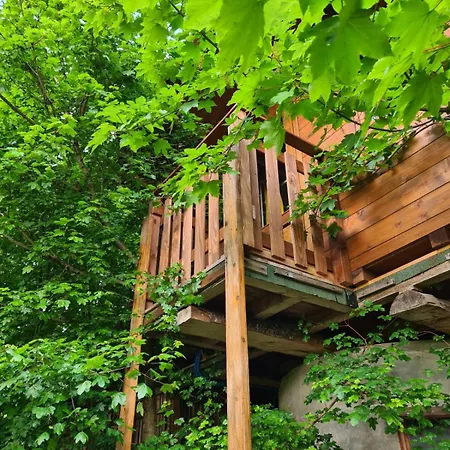 Üdülőpark Ecochiocciola *