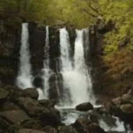 Ecochiocciola * Montese