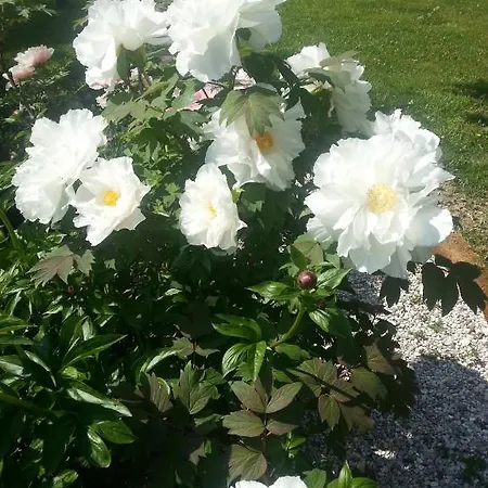 פארק נופש Ecochiocciola