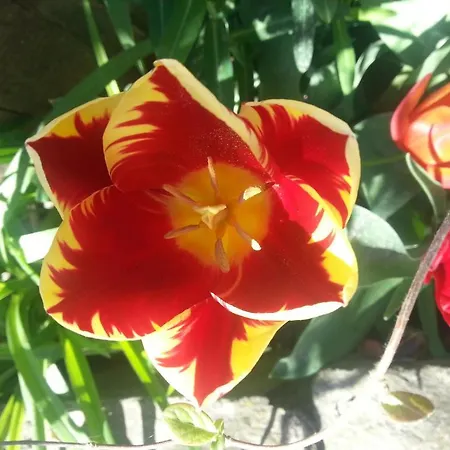 ホリデーパーク Ecochiocciola *