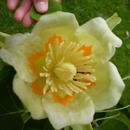 Ecochiocciola פארק נופש Montese