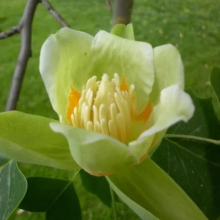 Ecochiocciola פארק נופש *