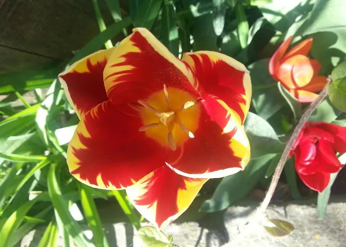 Tatil parkı Ecochiocciola *